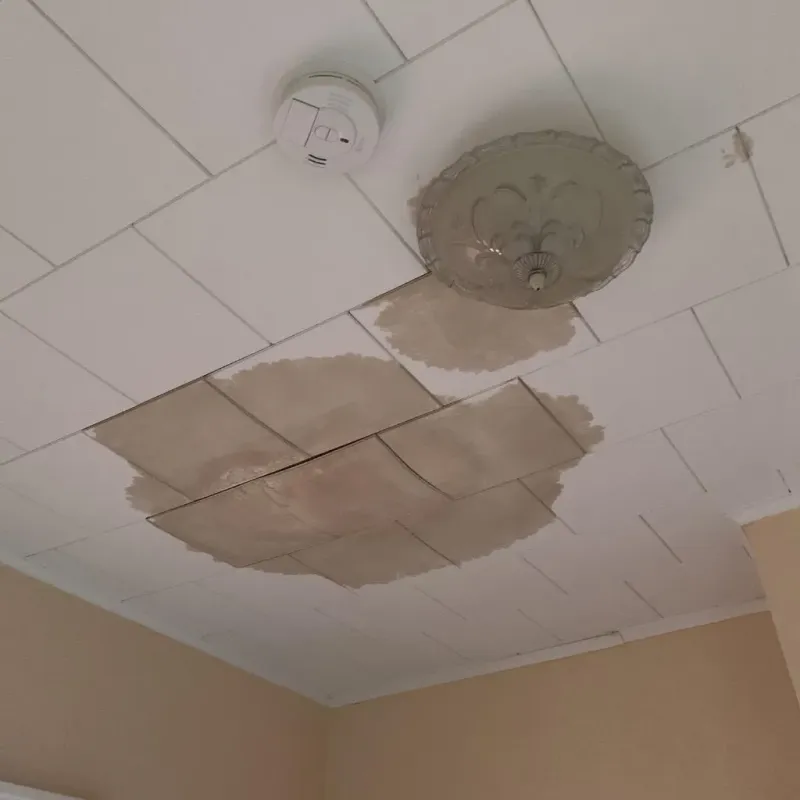 Ceiling Water Damage Repair in Rio, WI